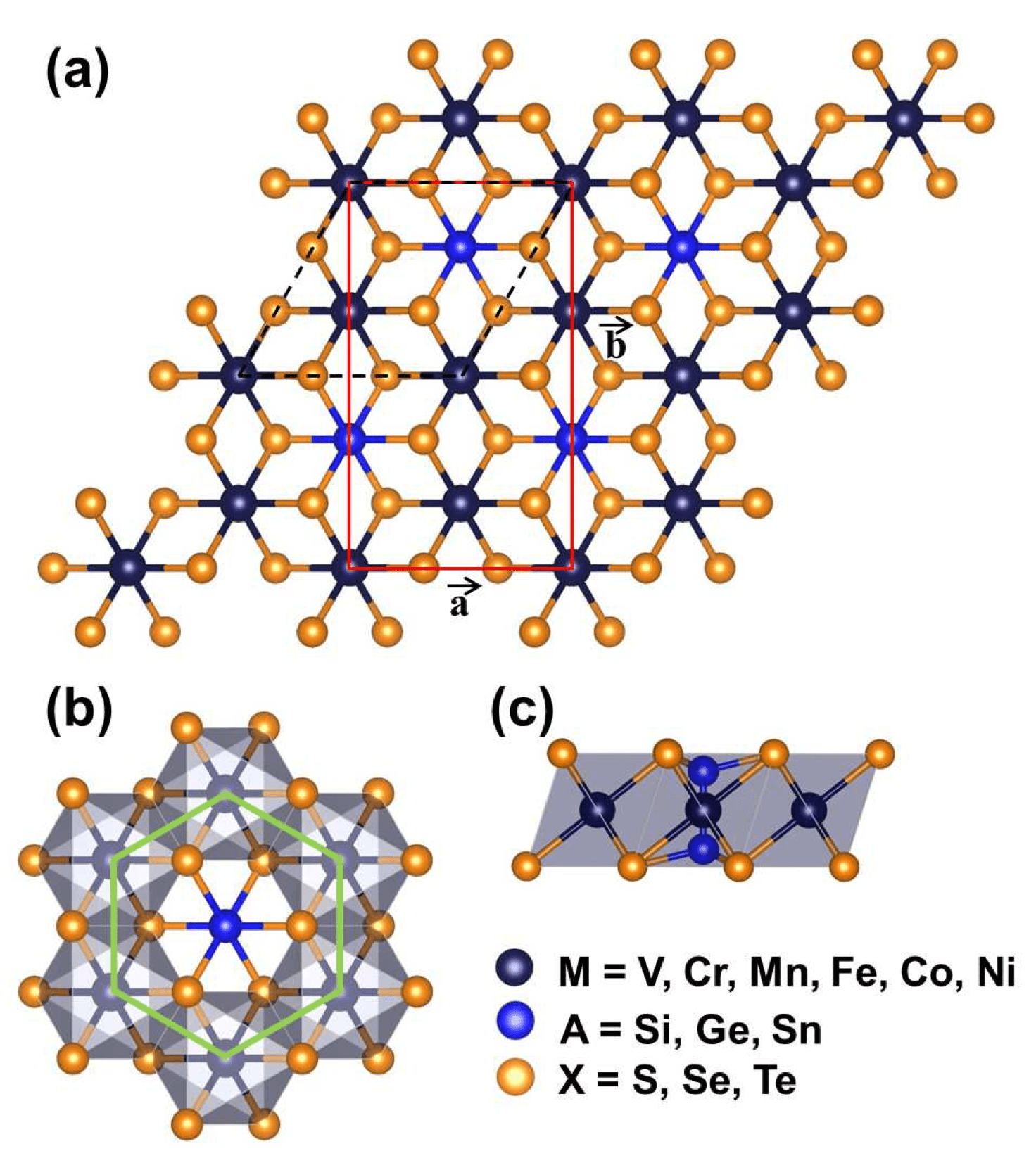 Carrier- and strain-tunable intrinsic magnetism in two-dimensional MAX3 transition metal chalcogenides