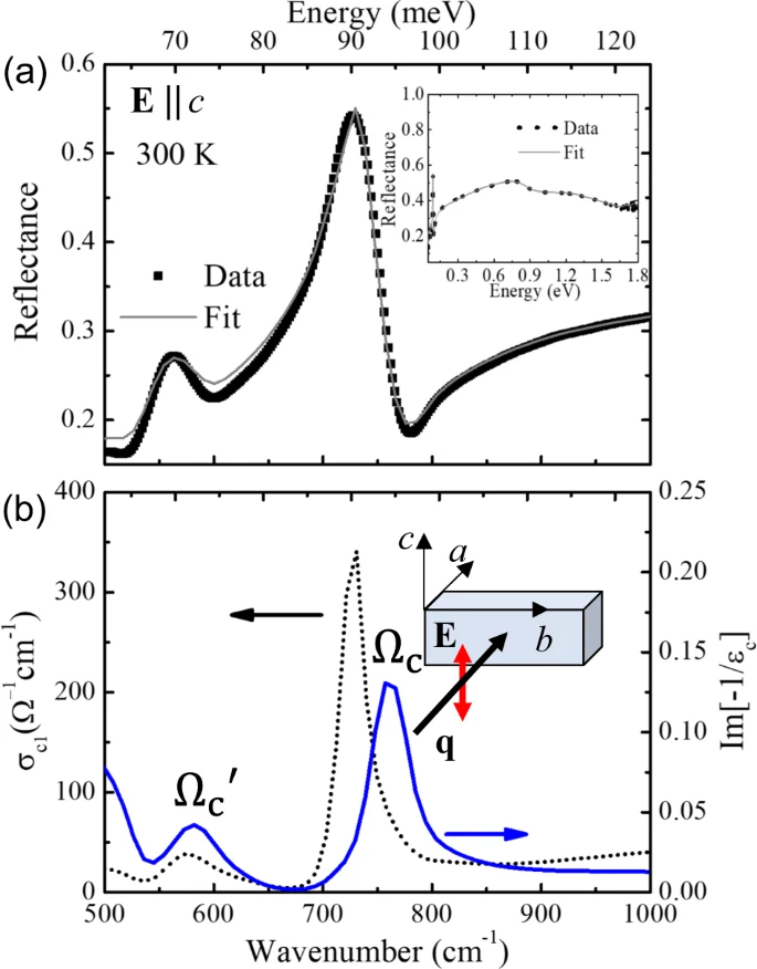 Interaction of in-plane Drude carrier with c-axis phonon in PdCoO2