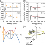 Optical Transitions of a Single Nodal Ring in SrAs3: Radially and Axially Resolved Characterization