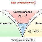 Phonon-mediated spin transport in<br>quantum paraelectric metals