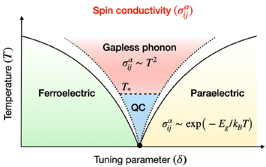 Phonon-mediated spin transport in<br>quantum paraelectric metals